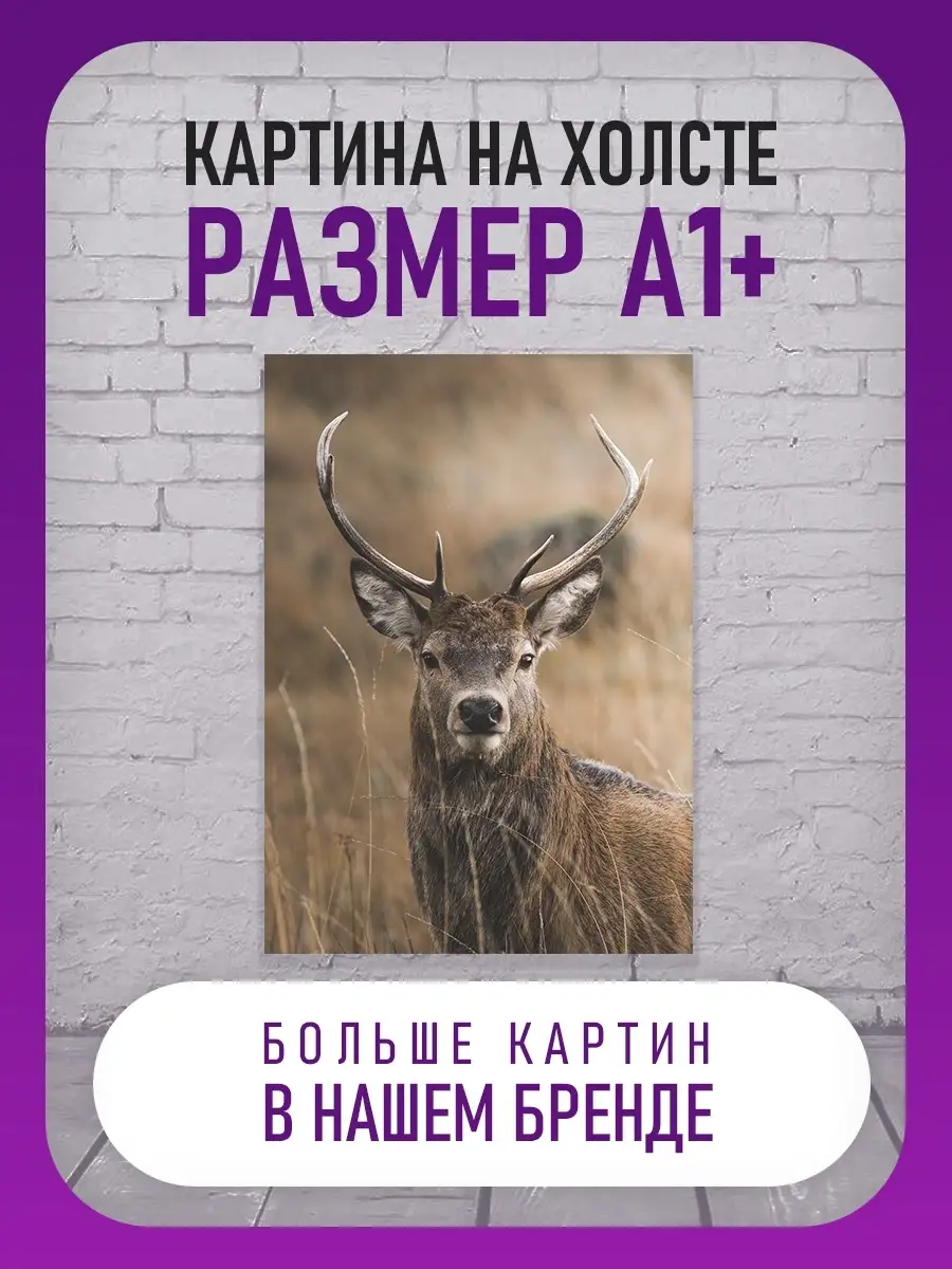 Картина интерьерная на холсте для дома А1 PosterMe 63221880 купить в  интернет-магазине Wildberries