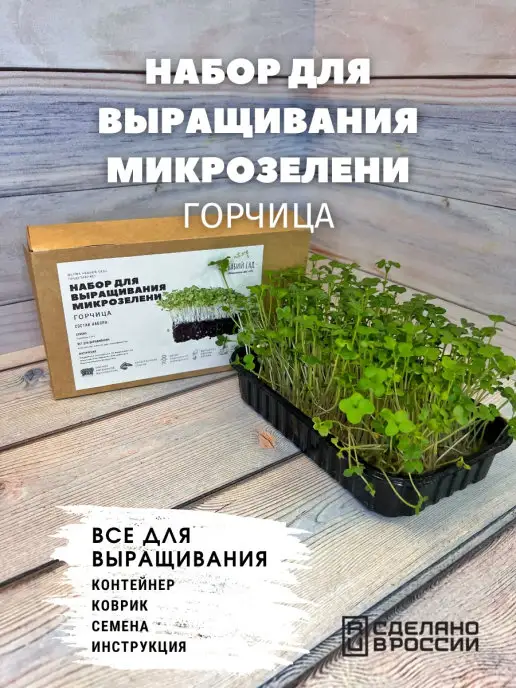 Бабий сад Набор для выращивания микрозелени семена микрозелень