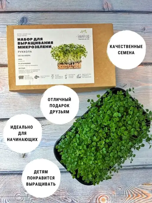 Бабий сад Набор для выращивания микрозелени семена микрозелень, вариант, фото 3