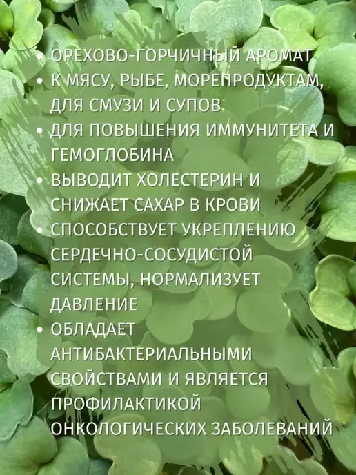 Бабий сад Набор для выращивания микрозелени семена микрозелень, вариант, фото 4