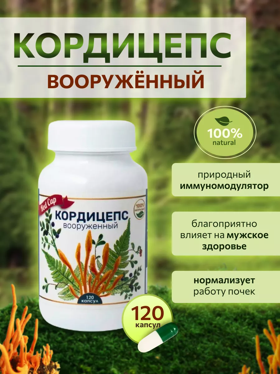 Кордицепс капсулы Red Cap 63370861 купить за 829 ₽ в интернет-магазине  Wildberries