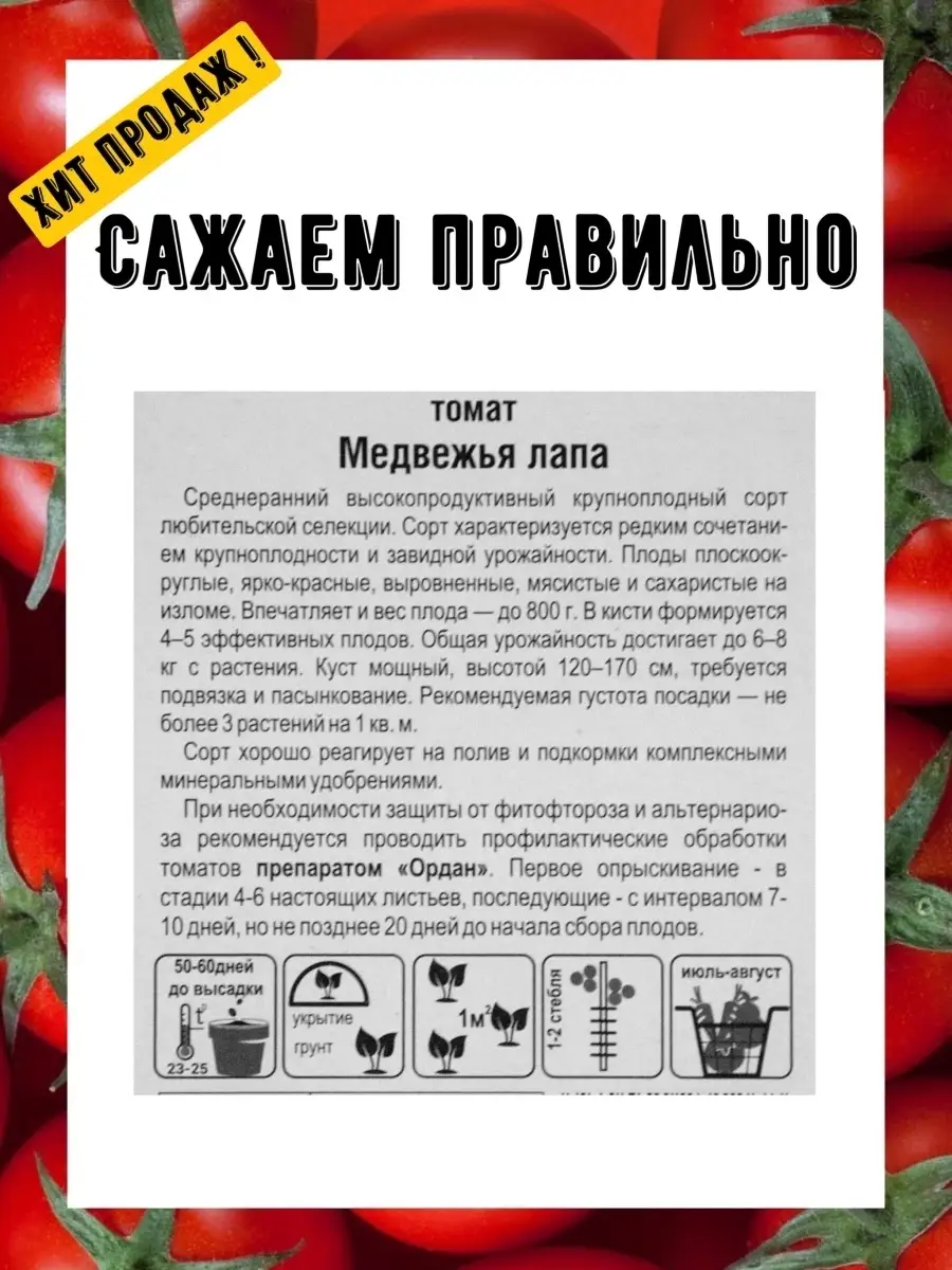 Томат Медвежья лапа 20 семян 2 пакета Сибирский сад 63403702 купить за 79 ₽  в интернет-магазине Wildberries