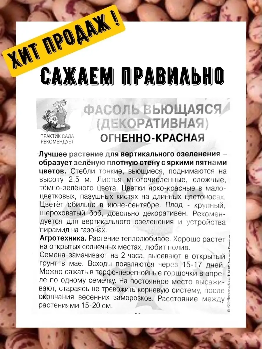 Фасоль вьющаяся Огненно-красная 2 пакета по 5 семян Агрофирма Поиск  63407968 купить за 183 ₽ в интернет-магазине Wildberries