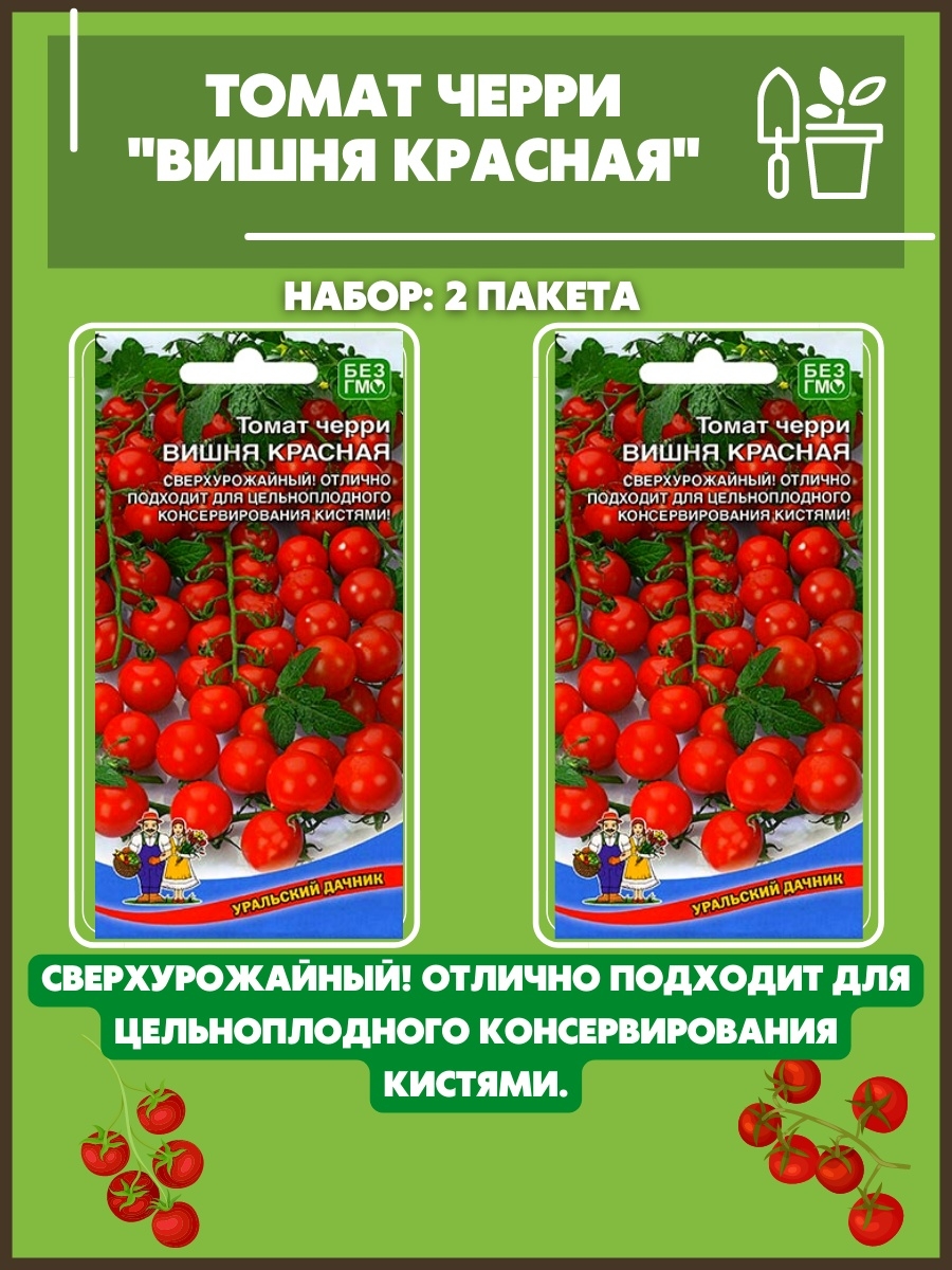 Семена черри вишня красная. Помидоры черри вишня. Томат черри Краса Уральский Дачник. Томат черри Вишневая метель.