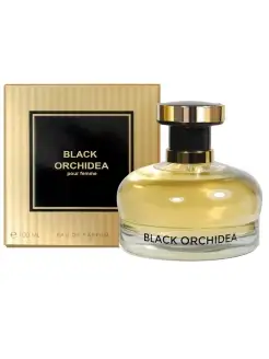 Black Orchidea Ascania 63416961 купить за 408 ₽ в интернет-магазине Wildberries