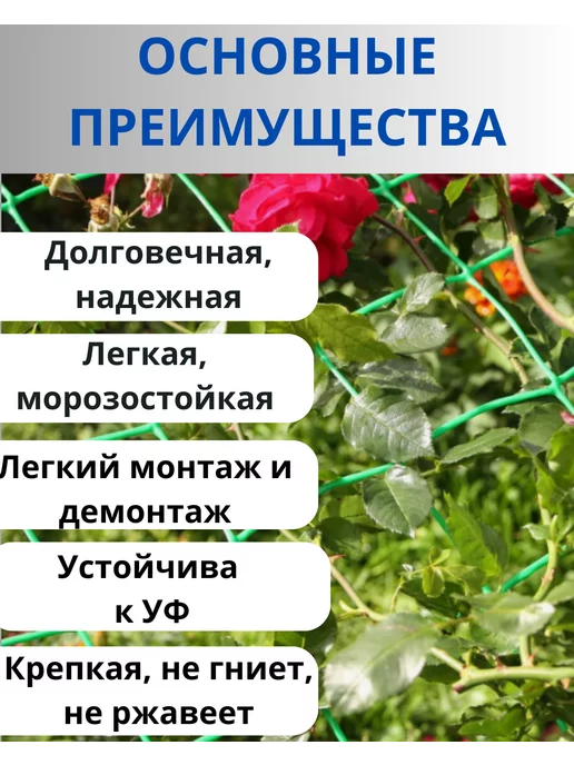 Сетка ПК Сетка пластиковая для винограда яч.90х90мм 1х5м Зеленый, 1x5 м, фото 2