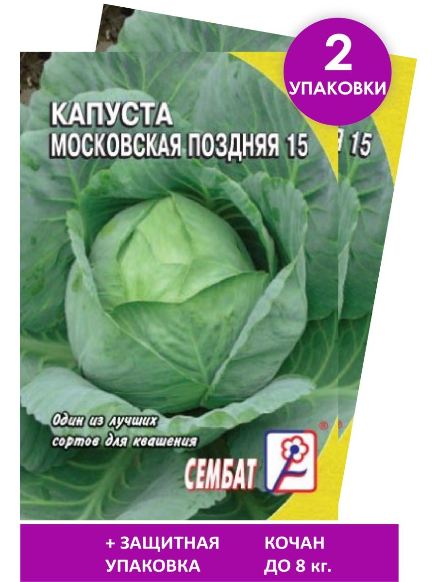 Капуста московская поздняя описание сорта отзывы. Капуста Московская поздняя 15. Капуста Московская описание. Капуста Московская поздняя 15 описание сорта. Капуста Московская поздняя описание.