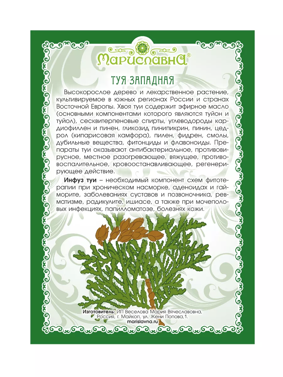 Масло туи (инфуз) 100 мл Мариславна 63558181 купить за 666 ₽ в  интернет-магазине Wildberries