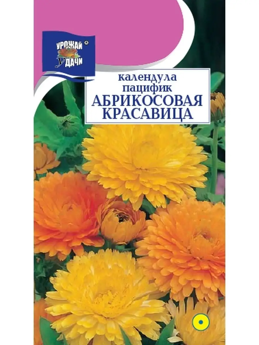 Семена календулы махровой Урожай Удачи 63574809 купить в интернет-магазине  Wildberries