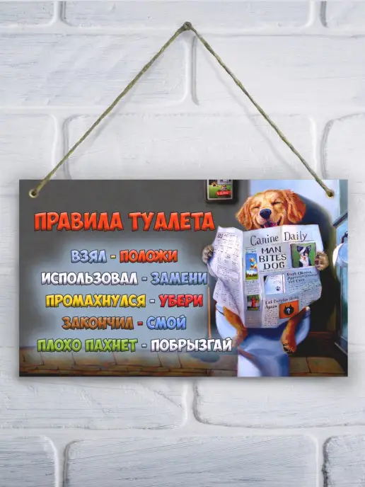 LPI Home Табличка на дверь Правила туалета, голубой, фото 4