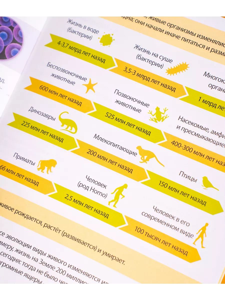 Энциклопедия про животных для детей Буква-Ленд 63587664 купить за 217 ₽ в  интернет-магазине Wildberries