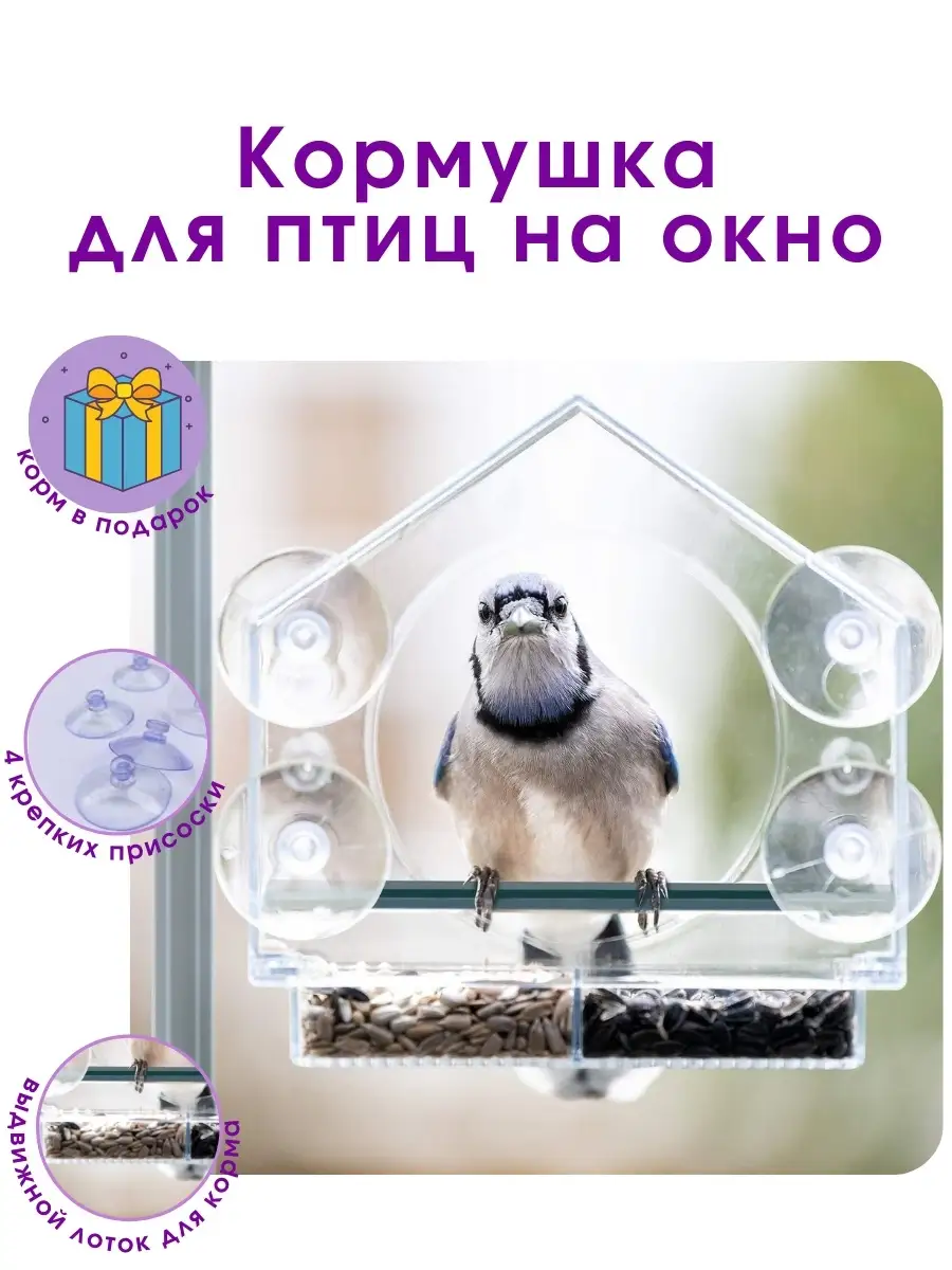 Публикация «Кормушки и домики для птиц на нашем участке» размещена в разделах