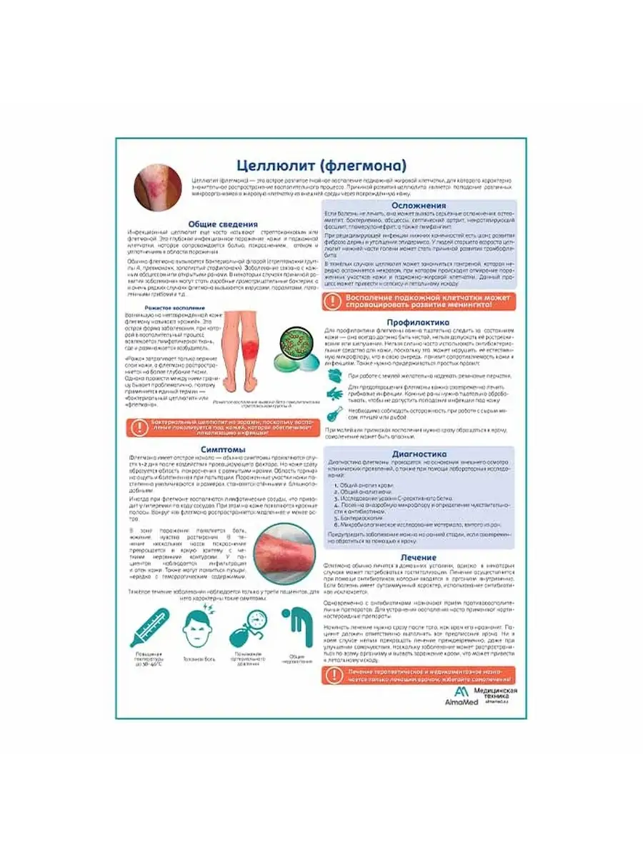 Целлюлит (флегома) медицинский плакат Плакаты 63676424 купить за 836 ₽ в  интернет-магазине Wildberries
