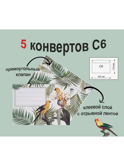 даринчи Конверты С6, 5 штук, зеленый