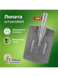 Лопата садовая, штыковая, без черенка Урожайная сотка 63746977 купить за 383 ₽ в интернет-магазине Wildberries