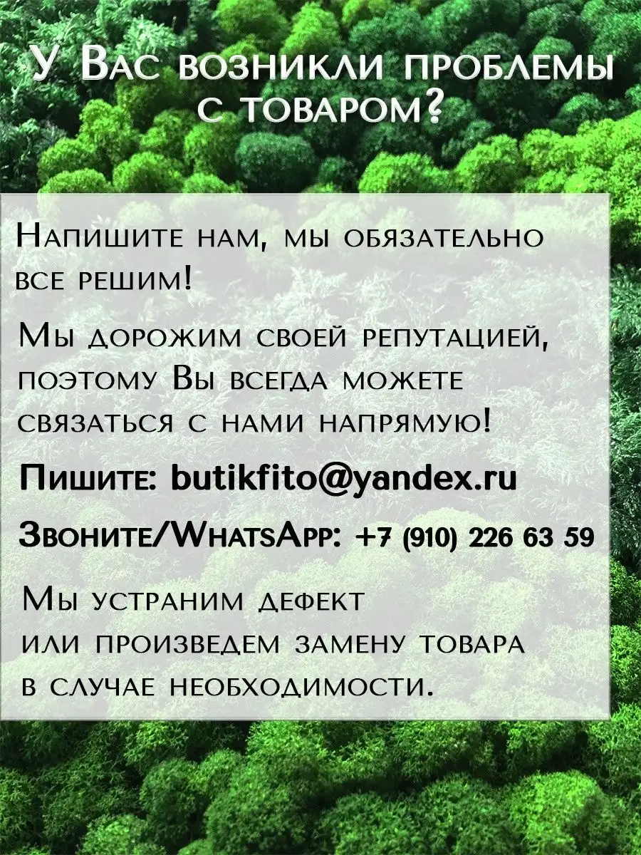 Набор декоративный стабилизированный мох ягель Планета Флористики 63799186  купить за 905 ₽ в интернет-магазине Wildberries