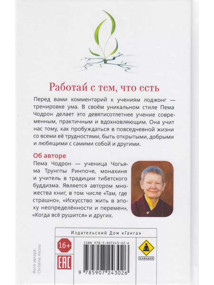 Работай с тем, что есть. Руководство по Изд. Ганга 63904627 купить за 739 ₽  в интернет-магазине Wildberries