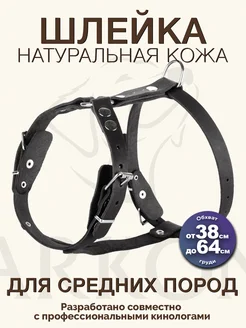 Шлейка для собак из натуральной кожи Аркон 63944306 купить за 672 ₽ в интернет-магазине Wildberries