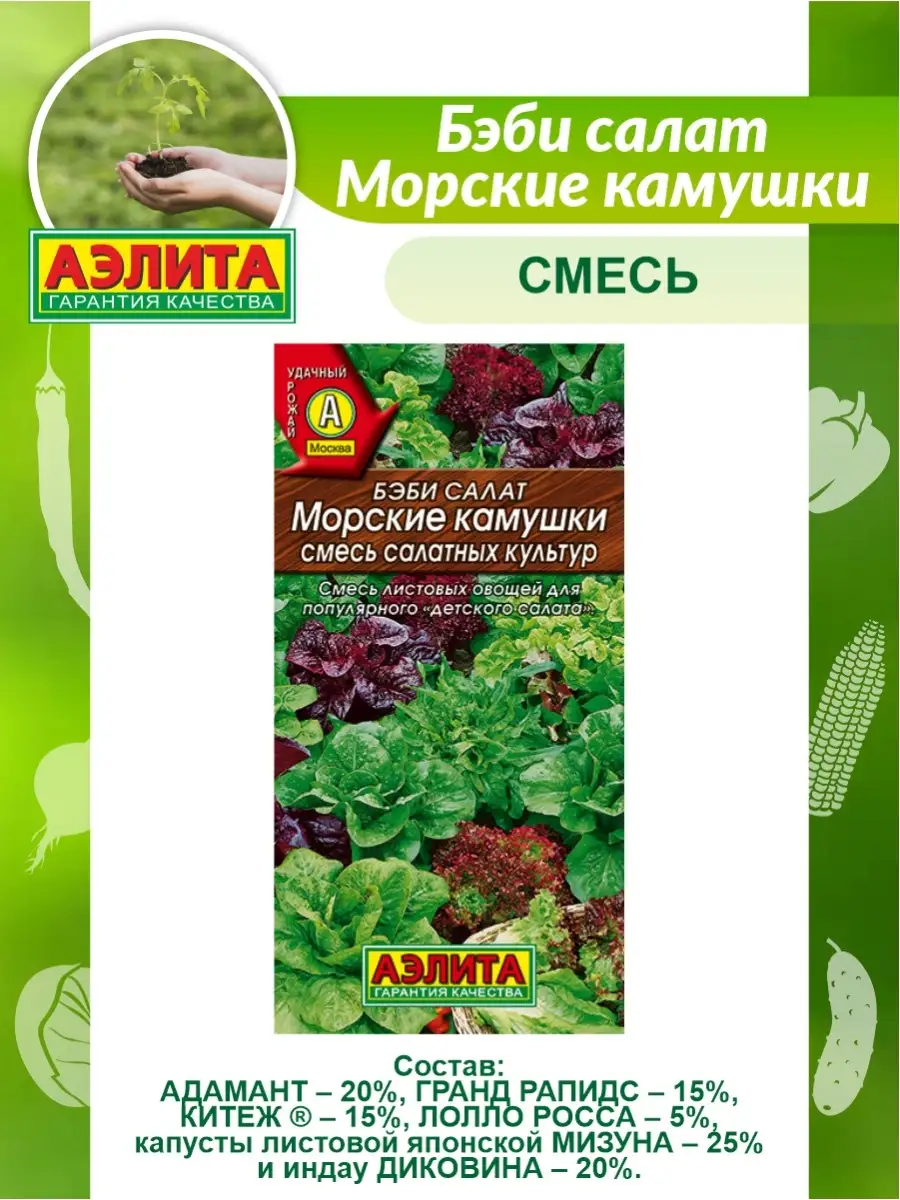 Семена Бэби салат Морские камушки 0,5 гр Аэлита 64002809 купить за 119 ₽ в  интернет-магазине Wildberries