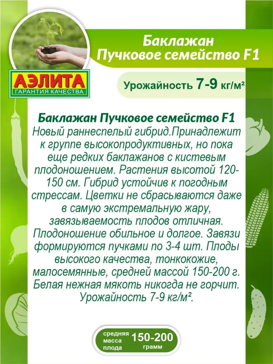 Баклажан Пучковое семейство F1 0,1 гр. Аэлита 64020087 купить за 219 ₽ в  интернет-магазине Wildberries