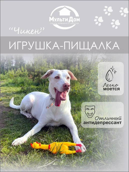 МУЛЬТИДОМ Игрушка для собак пищалка, оранжевый, фото 3