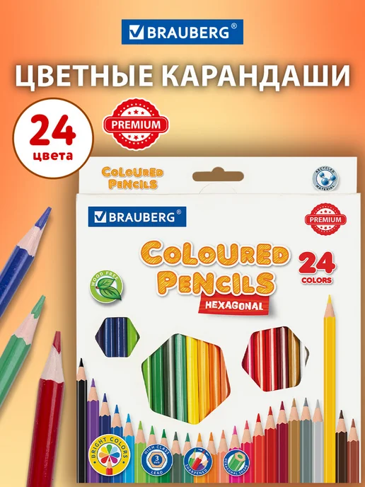 Brauberg Карандаши цветные, ударопрочные, детские, набор 12 цветов, 24 цв.