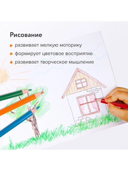 Brauberg Карандаши цветные, ударопрочные, детские, набор 12 цветов, 24 цв., фото 5