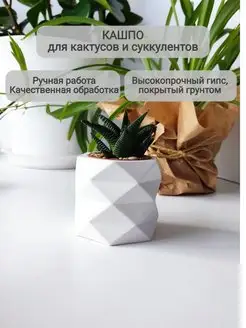 Кашпо для суккулентов для кактуса декоративное маленькое ECO Thing 64256748 купить за 221 ₽ в интернет-магазине Wildberries