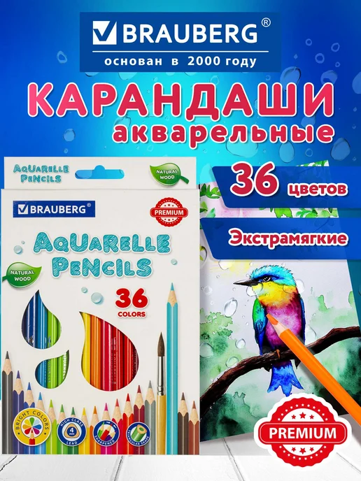 Brauberg Карандаши акварельные цветные, детские, мягкие, 36 цветов, 36 цв.