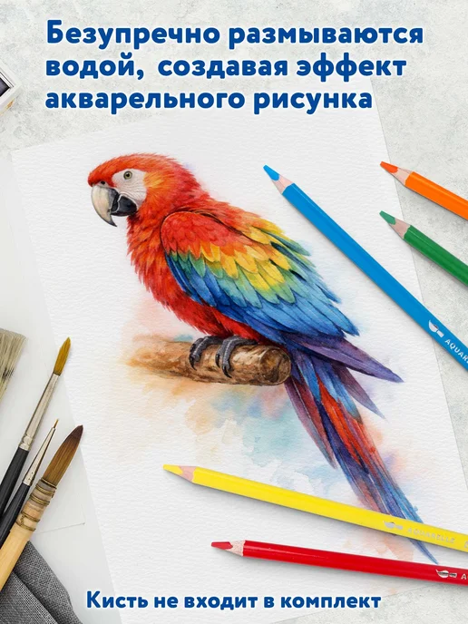 Brauberg Карандаши акварельные цветные, детские, мягкие, 36 цветов, 36 цв., фото 4