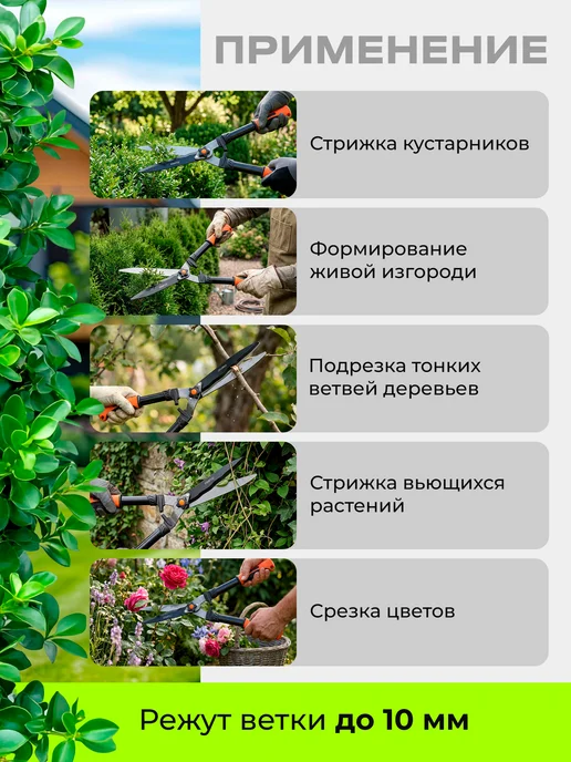 startul Ножницы садовые кусторез для кустарников и хвойных, вариант, фото 2