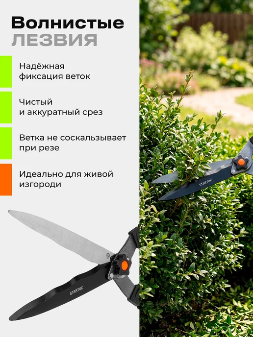 startul Ножницы садовые кусторез для кустарников и хвойных, вариант, фото 3