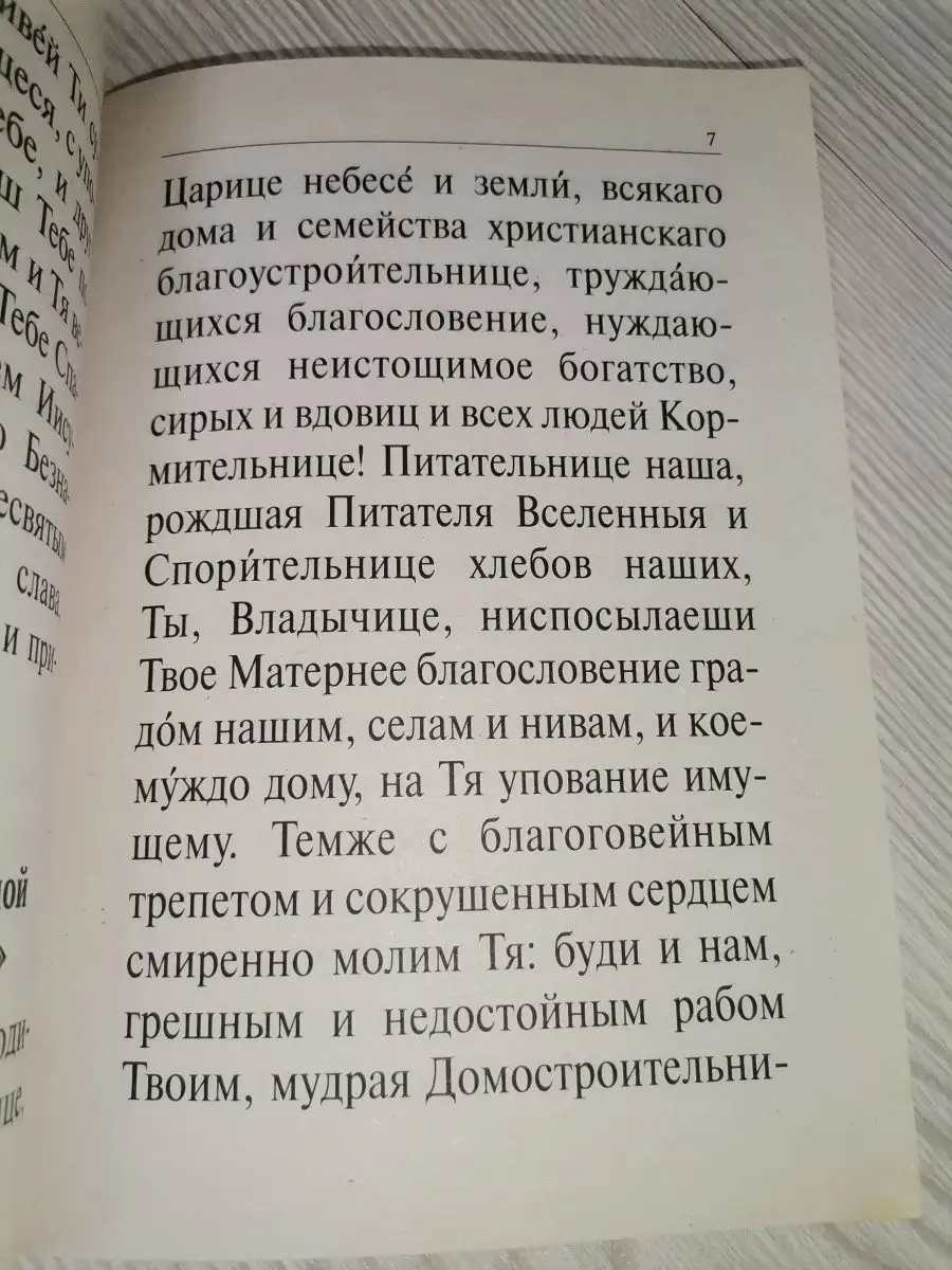 Молитвы от засухи, грозы, града. Крупный шрифт (Развитие дух Развитие  духовности, культуры и науки 64461720 купить за 200 ₽ в интернет-магазине  Wildberries