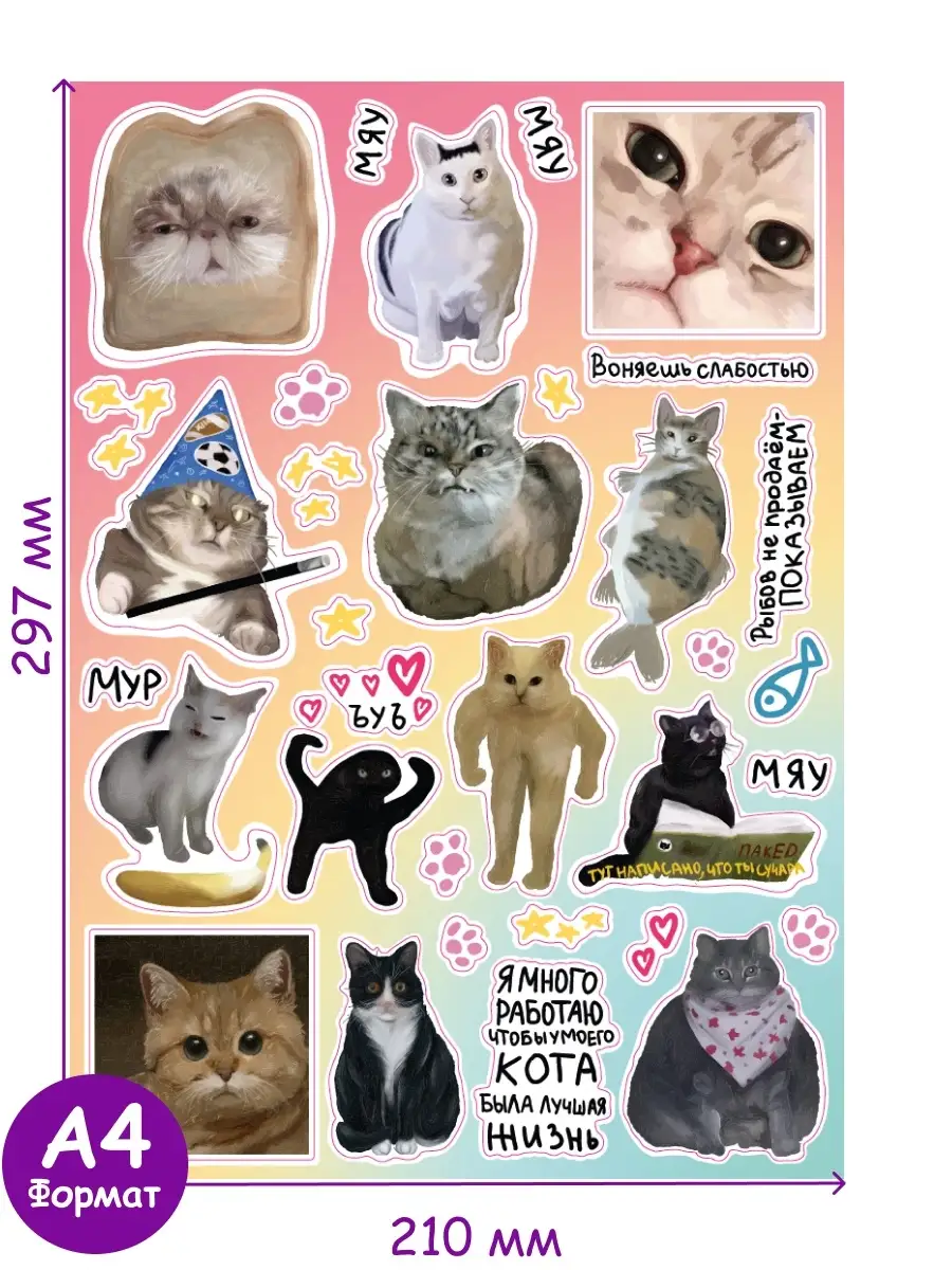 Смешное кошек и котов надписями (202 фото)