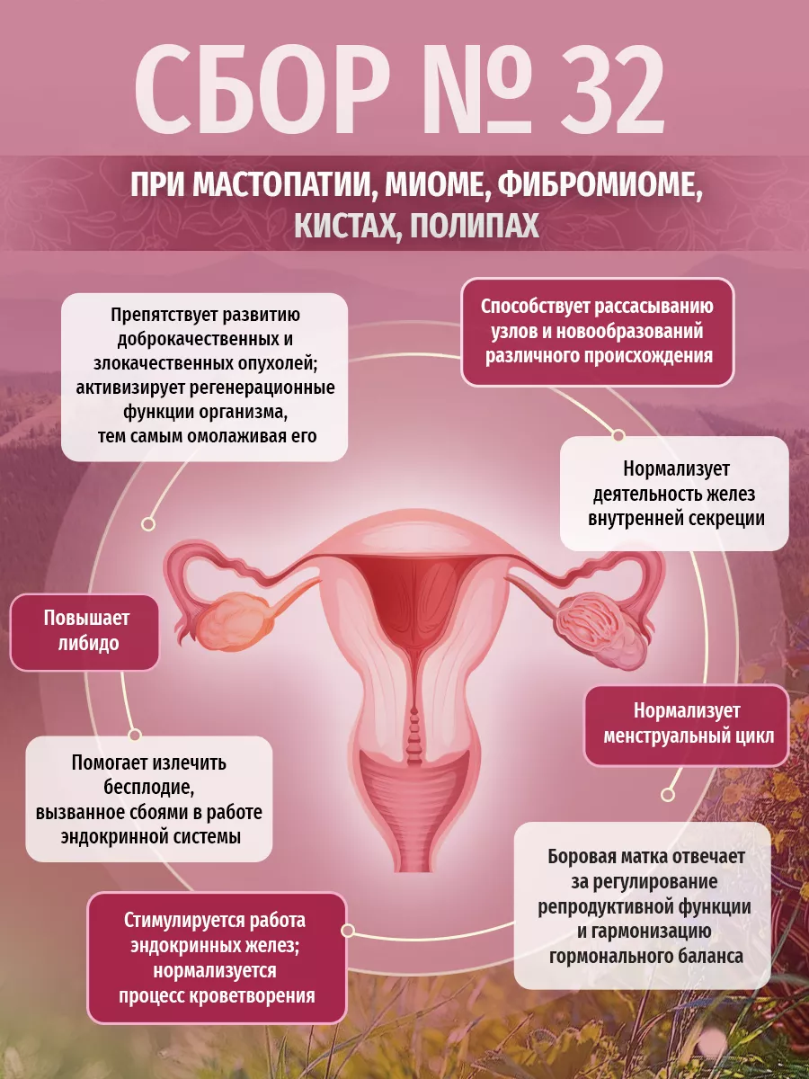 Сбор трав гинекологический при мастопатии и кистах Травы Кавказа 64481887  купить за 1 260 ₽ в интернет-магазине Wildberries