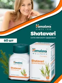 Шатавари 60 таблеток Himalaya Herbals 64495575 купить за 476 ₽ в интернет-магазине Wildberries