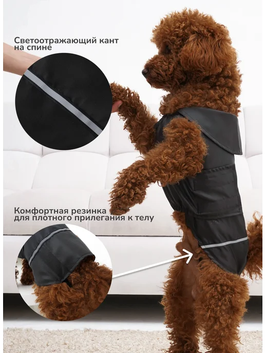 Pepino_pet Жилет дождевик для собак легкий не утепленный, черный, фото 2
