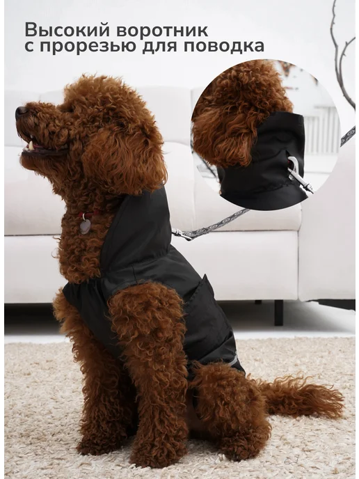 Pepino_pet Жилет дождевик для собак легкий не утепленный, черный, фото 6