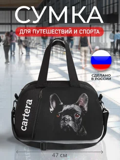 Сумка дорожная ручная кладь Cartera 64564123 купить за 1 396 ₽ в интернет-магазине Wildberries