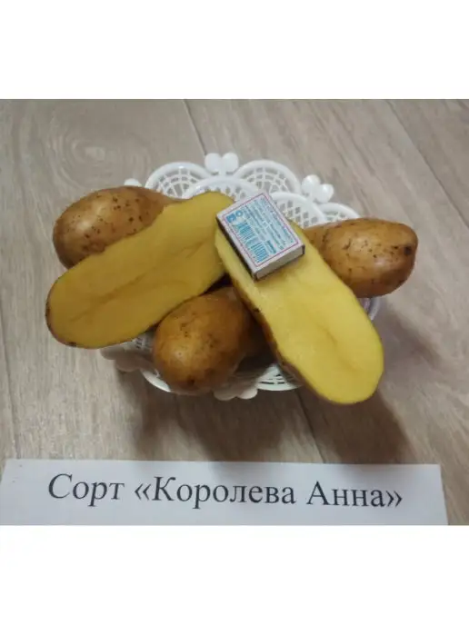 АЛГОР-ЭКОПРОДУКТ Картофель Королева Анна, желтый, фото 2