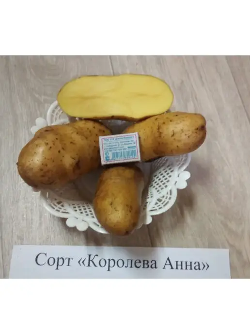 АЛГОР-ЭКОПРОДУКТ Картофель Королева Анна, желтый, фото 3