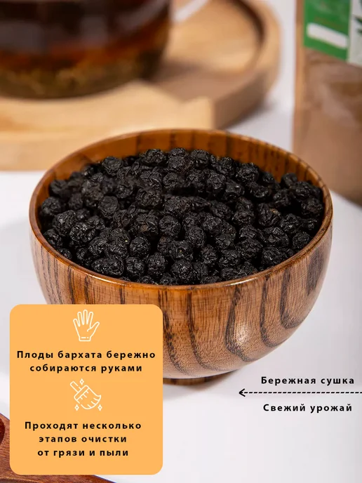 Дикополезно Амурский бархат ягоды при диабете, плоды амурского бархата, вариант, фото 4
