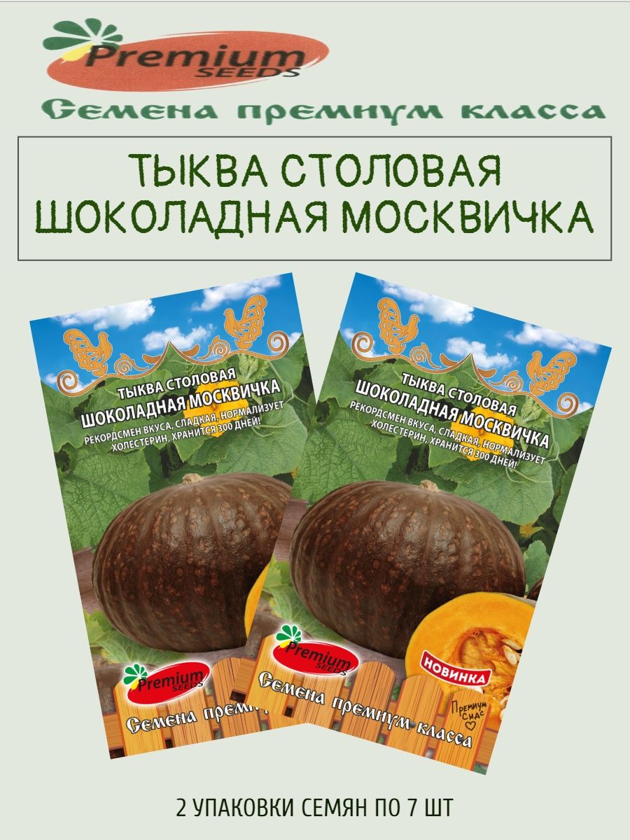 Москвичка характеристика. Тыква шоколадная москвичка. Шоколадная тыква. Шоколад с тыквой. Тыква из шоколада.