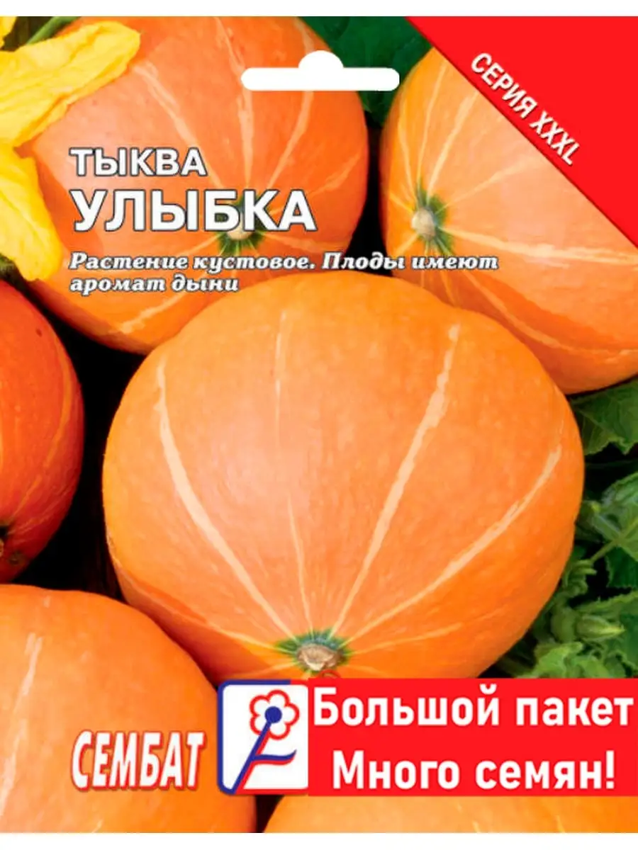 Семена Тыква Улыбка 10г