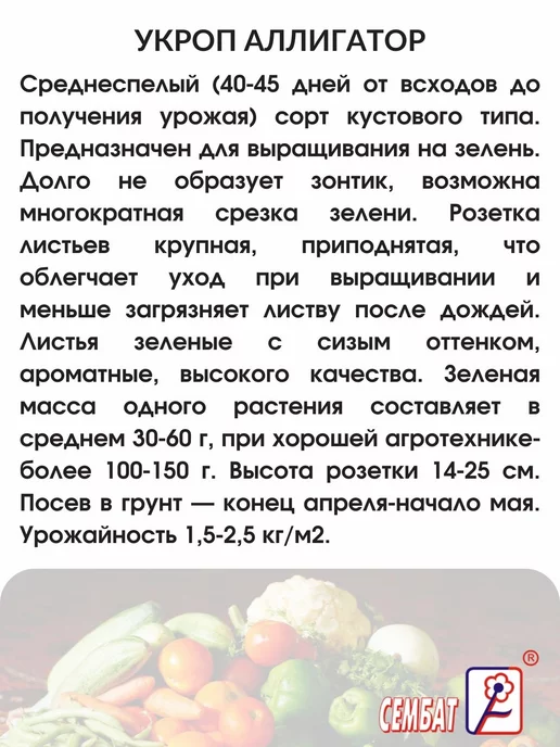 Сембат Семена Укроп Аллигатор 20г, 20 г, фото 2