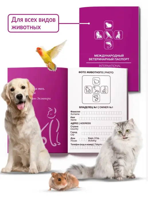 DOGLIKE Паспорт ветеринарный 10 штук, фиолетовый, фото 3