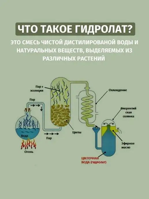 Lyutiki-Cvetochki гидролат Золотарника Канадского, золотой, фото 7