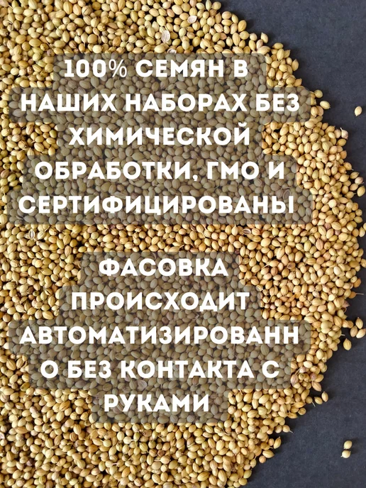 Бабий сад Набор для выращивания микрозелени семена микрозелень, 10 шт, фото 5