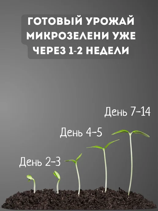 Бабий сад Набор для выращивания микрозелени семена микрозелень, 10 шт, фото 6