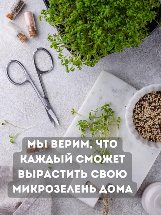 Бабий сад Набор для выращивания микрозелени семена микрозелень, 10 шт, фото 7